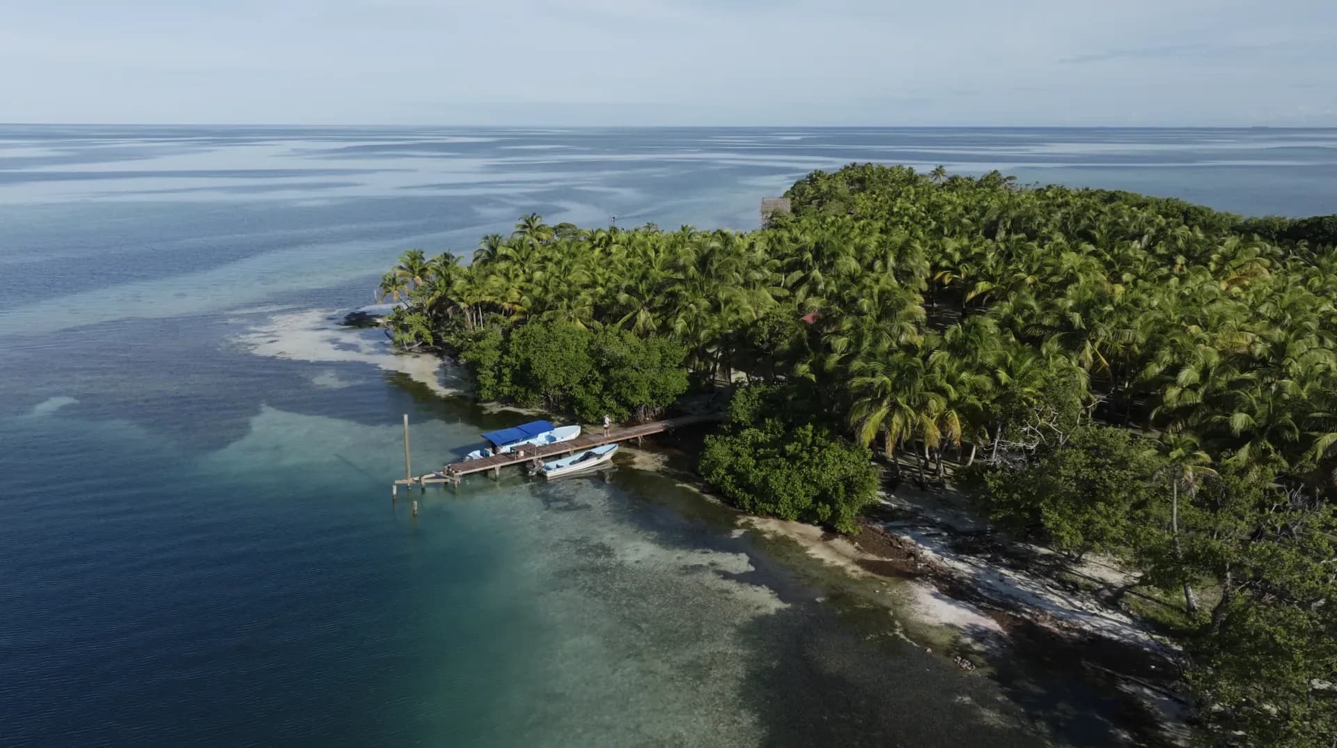 Palm-covered caye with a private dock off the coast of Belize