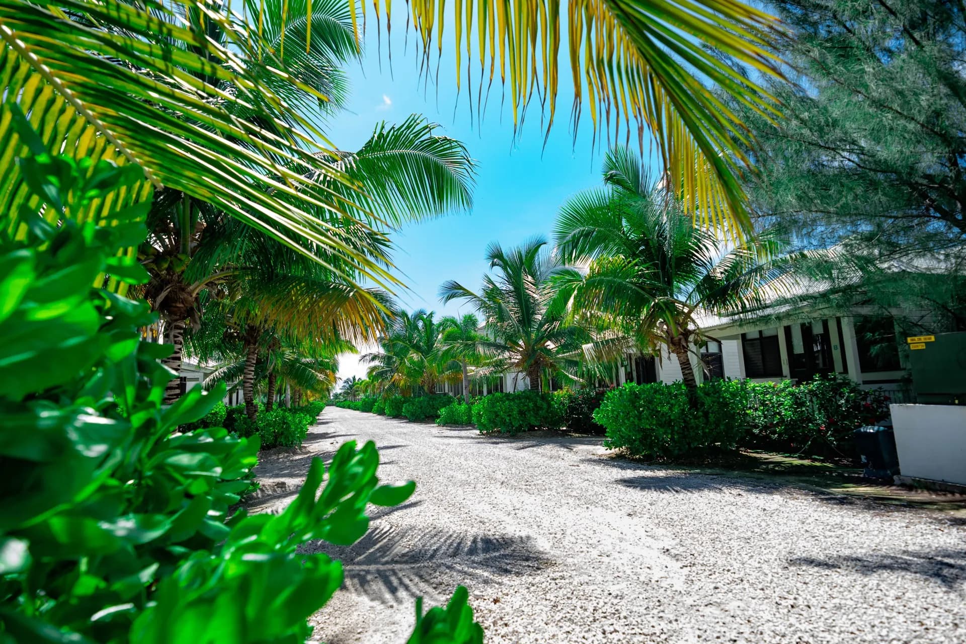 Mahogany Bay Belize